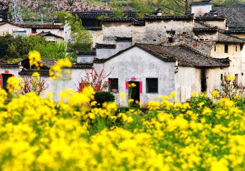 婺源风景